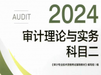 2025年初中级审计师《全科》教材PDF电子版百度云网盘下载